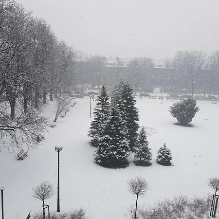 Misvest Anna Xvii Z Widokiem Na Park *